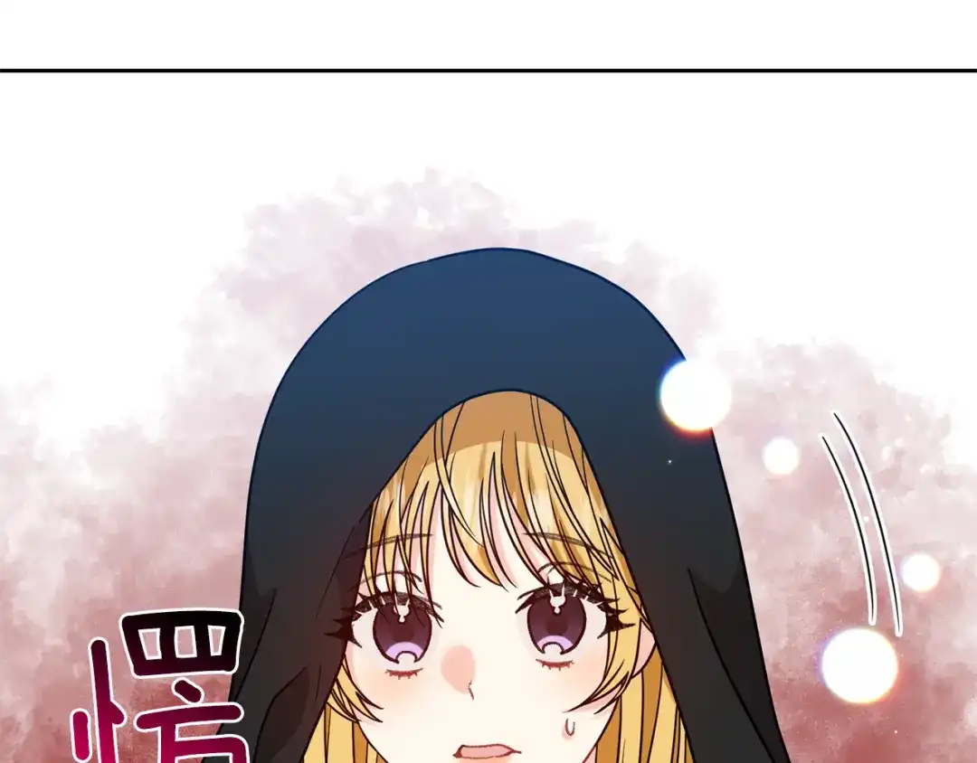 《反叛皇子的御用教师》第49话 苦恼 第43页