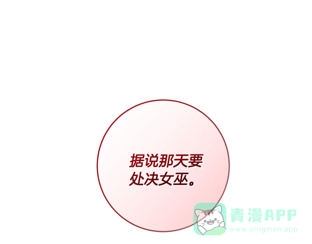 《反叛皇子的御用教师》第66话 反击行动 第16页