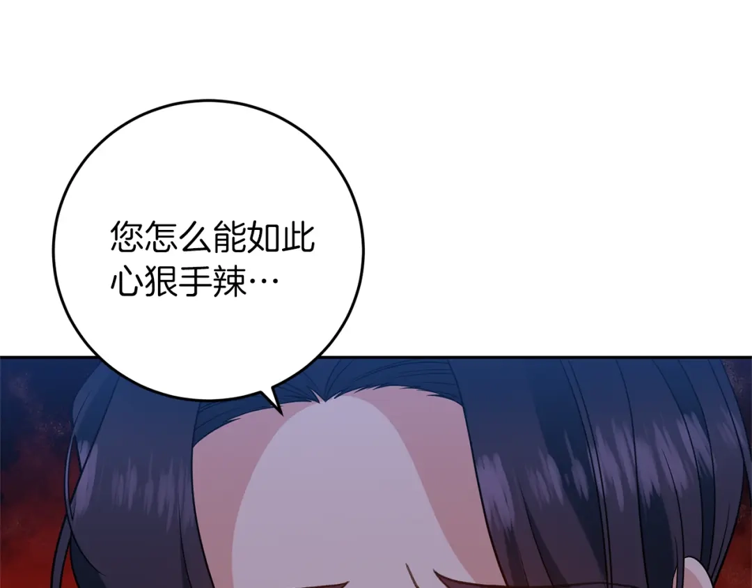 《反叛皇子的御用教师》第66话 反击行动 第114页