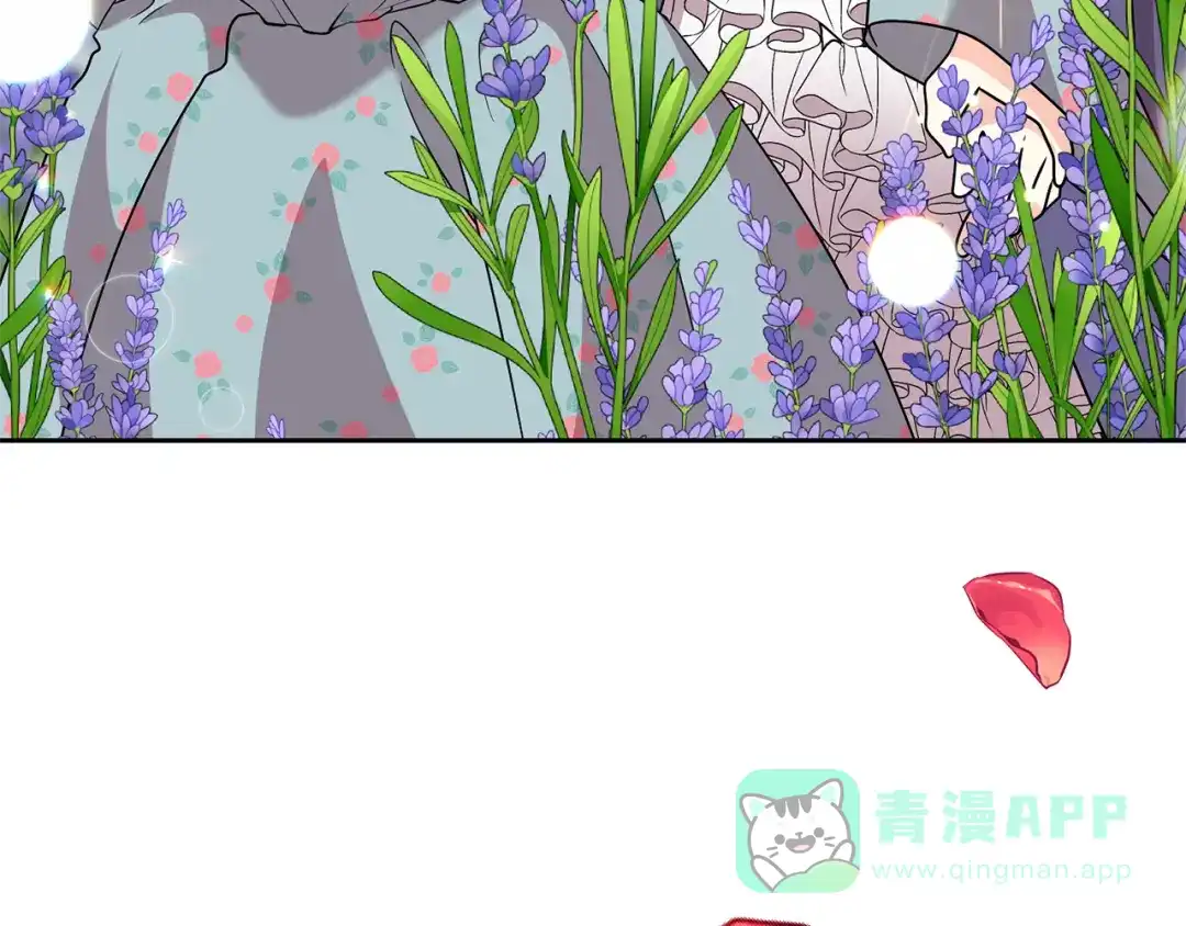 《反叛皇子的御用教师》完结篇 浪漫求婚 第161页