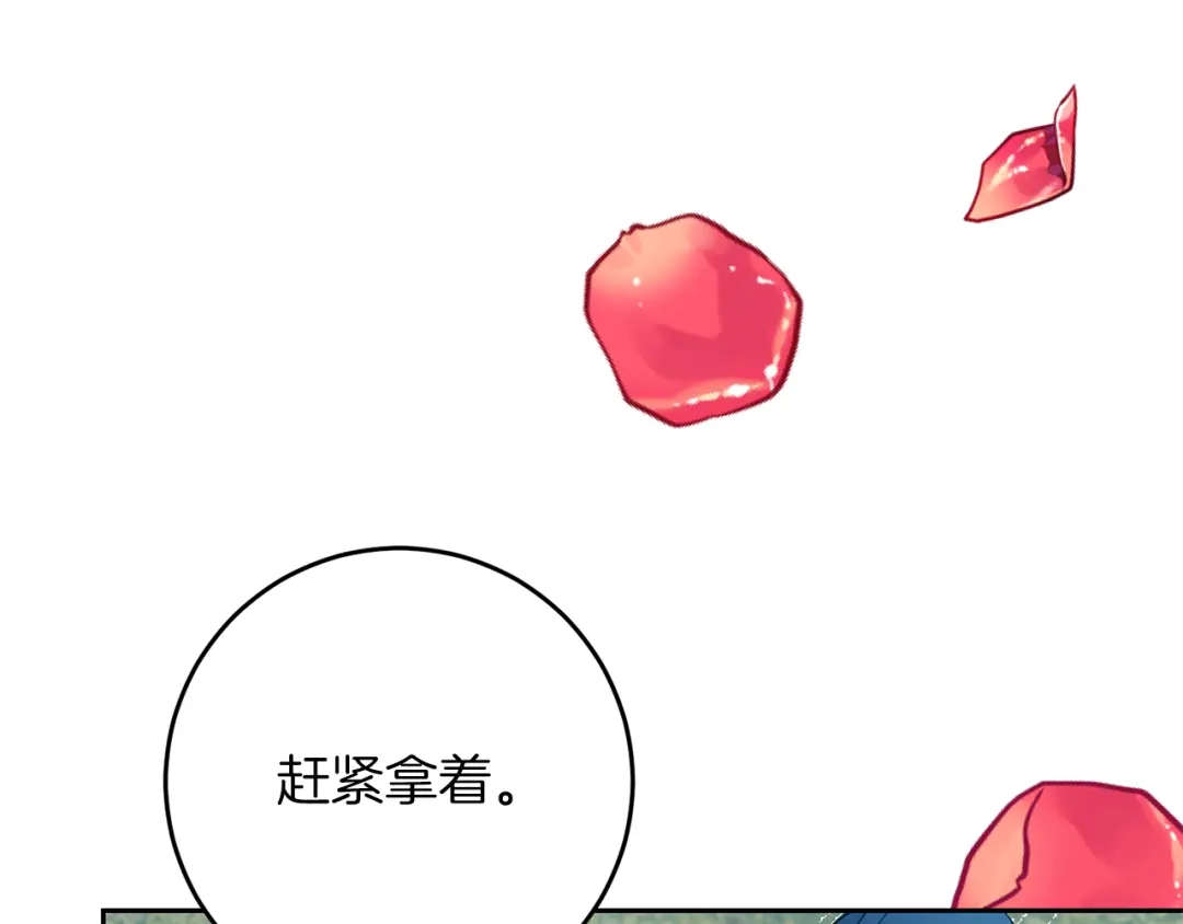 《反叛皇子的御用教师》完结篇 浪漫求婚 第123页