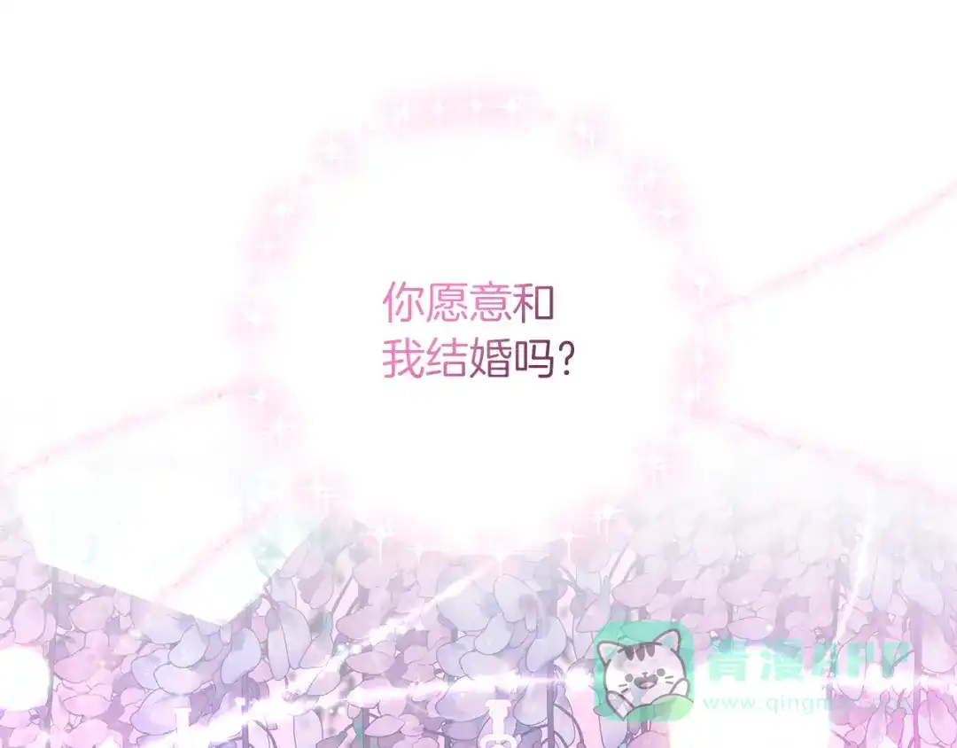 《反叛皇子的御用教师》完结篇 浪漫求婚 第196页