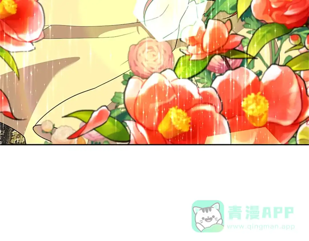 《反叛皇子的御用教师》完结篇 浪漫求婚 第31页