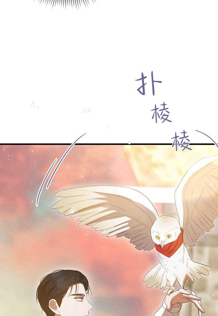 《菲奥妮-预见与杀人魔大公的未来》第31话 第29页