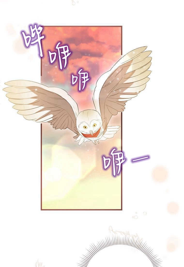 《菲奥妮-预见与杀人魔大公的未来》第31话 第27页