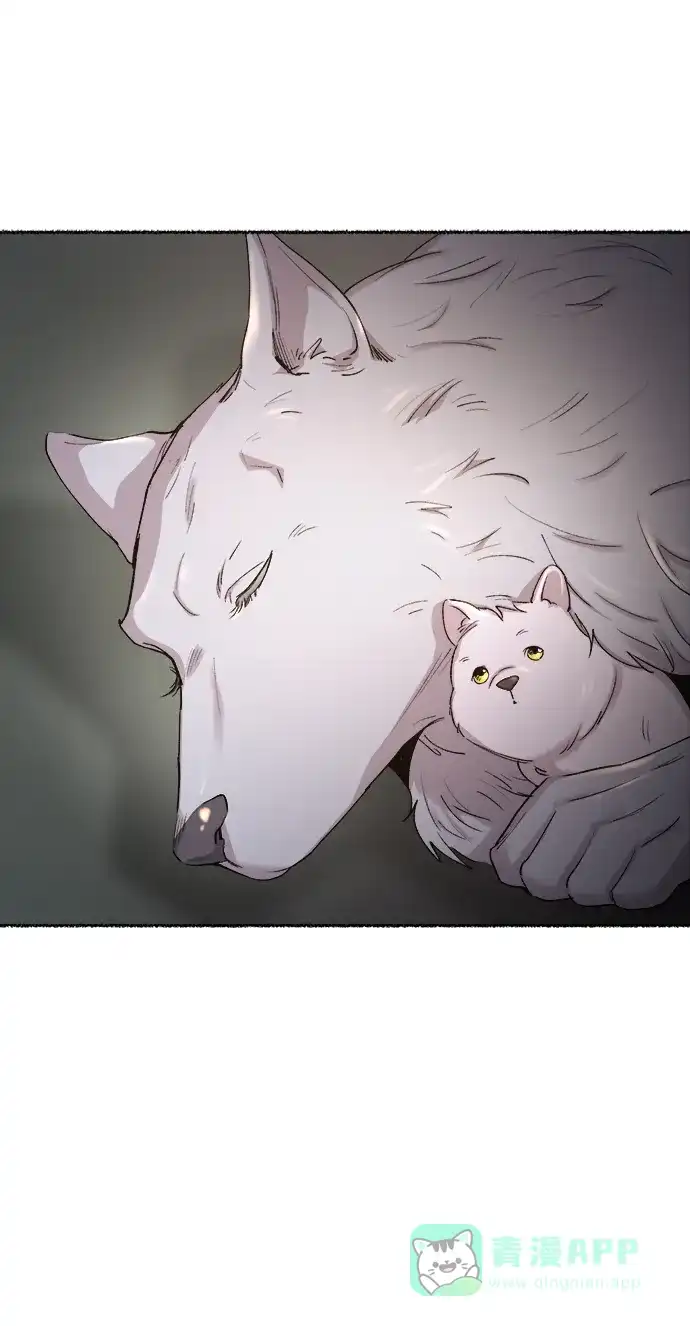 《废皇子的神秘情人》第113话 龙之峡谷（3） 第41页