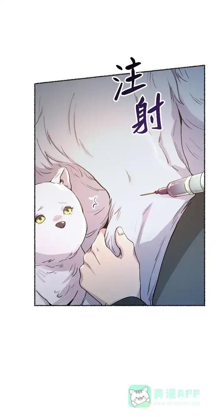 《废皇子的神秘情人》第114话 龙之峡谷（4） 第37页