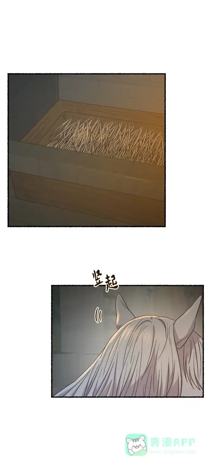 《废皇子的神秘情人》第140话 隐藏的事情（14） 第15页