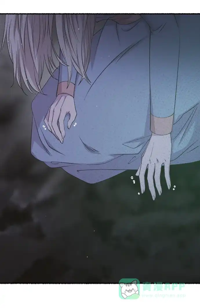 《废皇子的神秘情人》第145话 隐藏的事情（19） 第43页