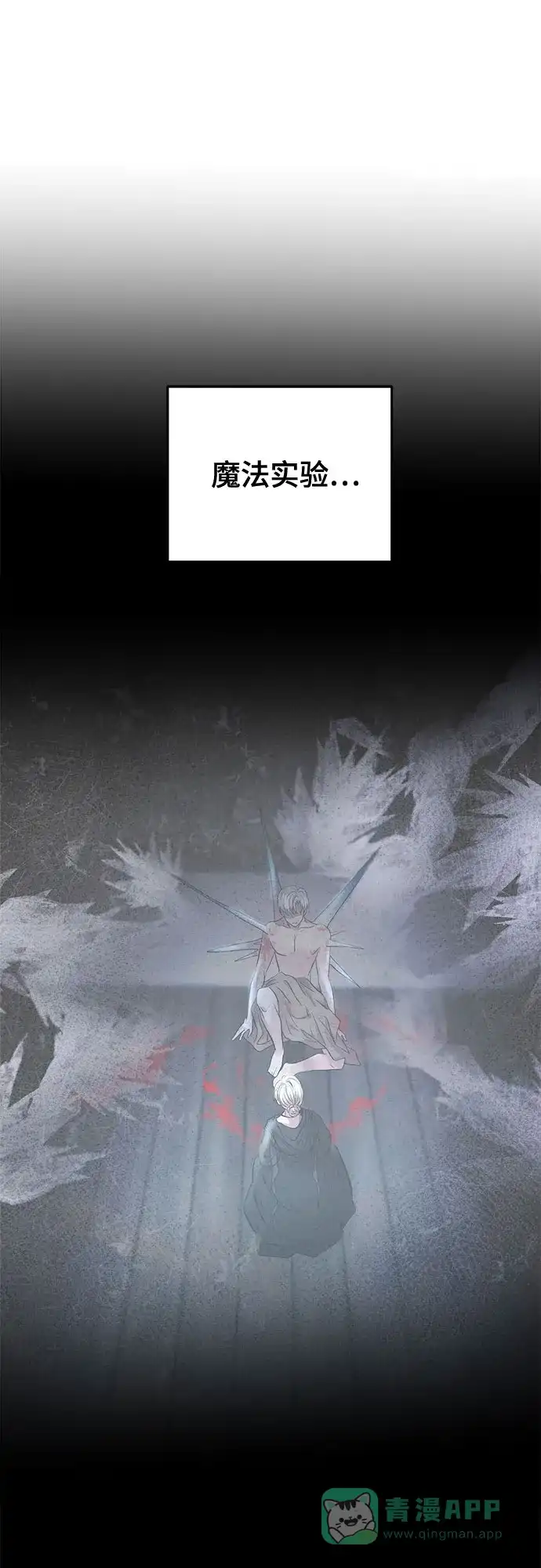 《废皇子的神秘情人》第172话 契约（5） 第17页
