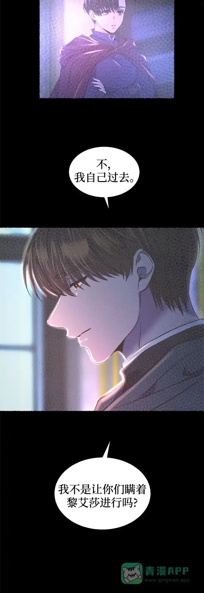 《废皇子的神秘情人》第212话 闪闪发光（1） 第15页