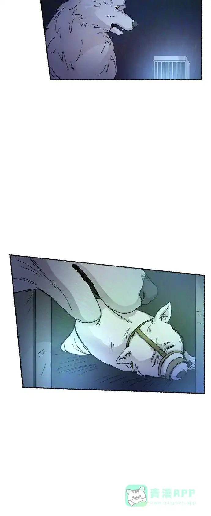 《废皇子的神秘情人》第74话 受伤的猛兽（3） 第104页