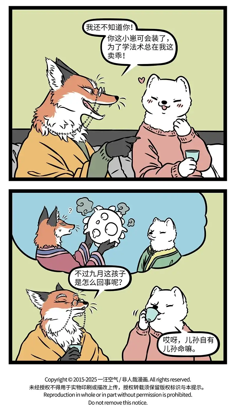 13.jpg