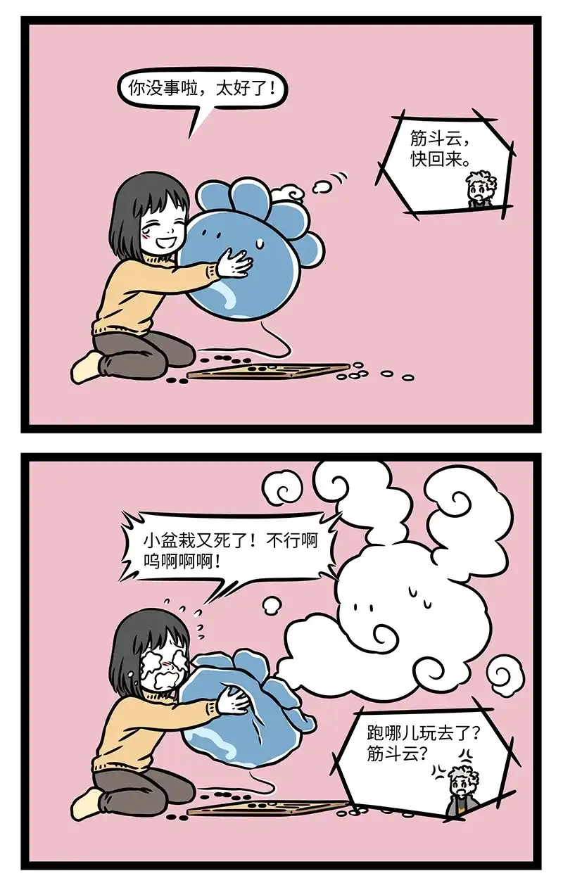 5.jpg