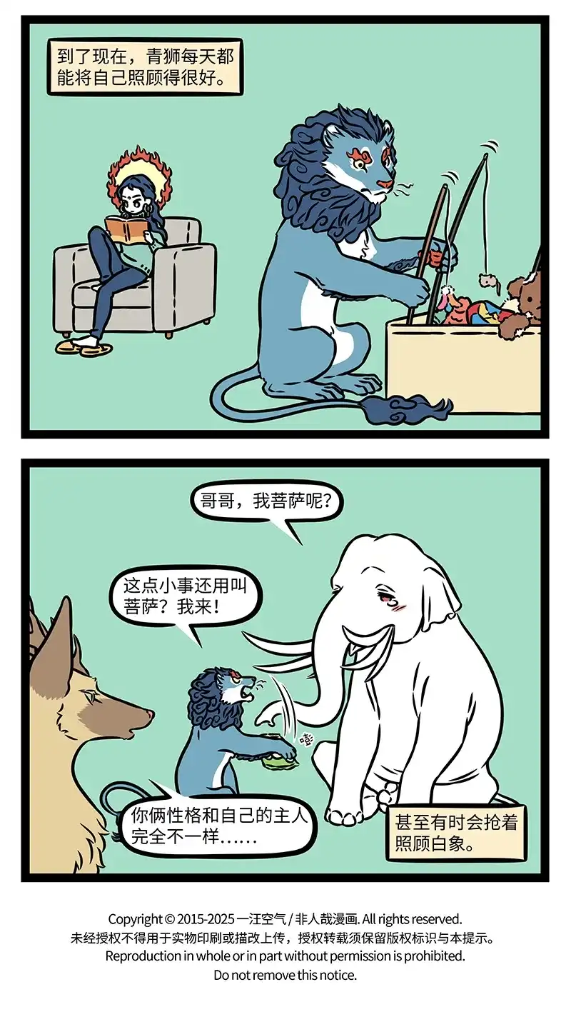 13.jpg