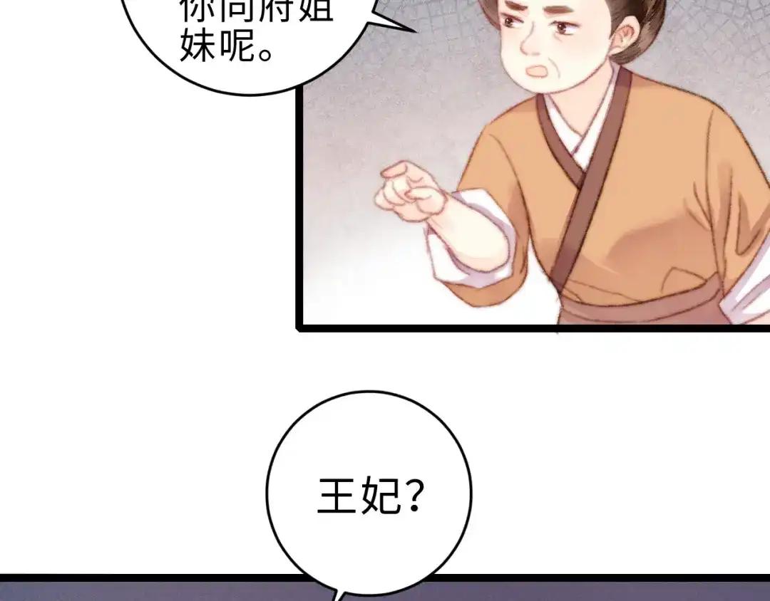 《《妃为九卿》-神医小娇妃》完结篇： 玄靖王妃 第10页
