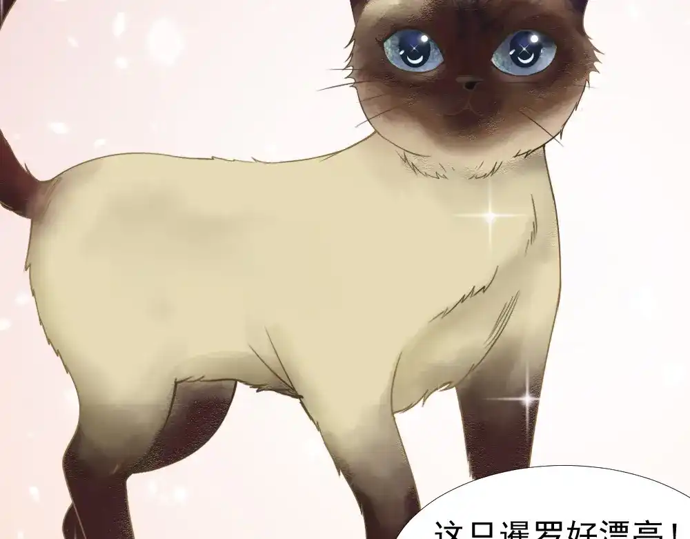 《飞行星球》第39话 小可爱 第55页