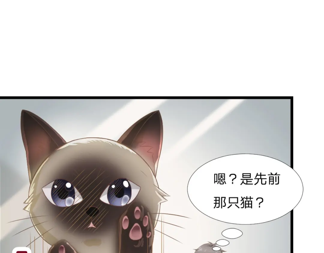 《飞行星球》第45话 难眠之夜 第3页