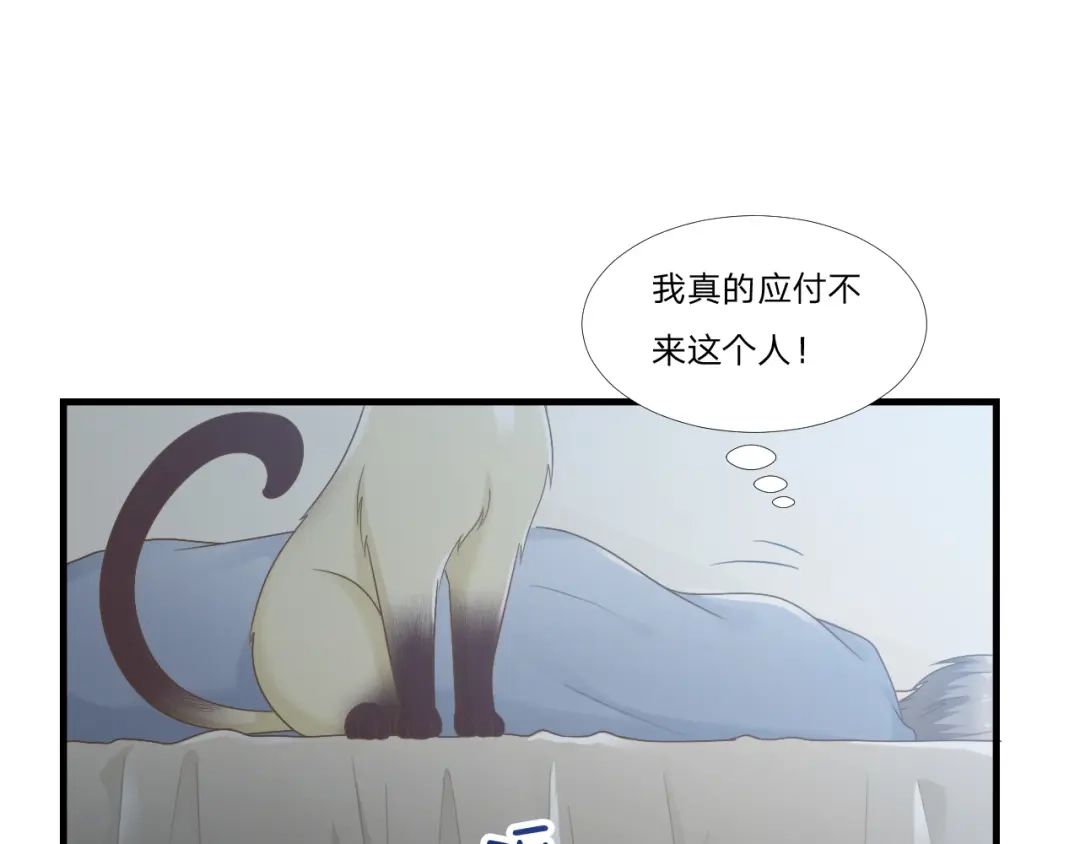 《飞行星球》第47话 清早的访客 第43页