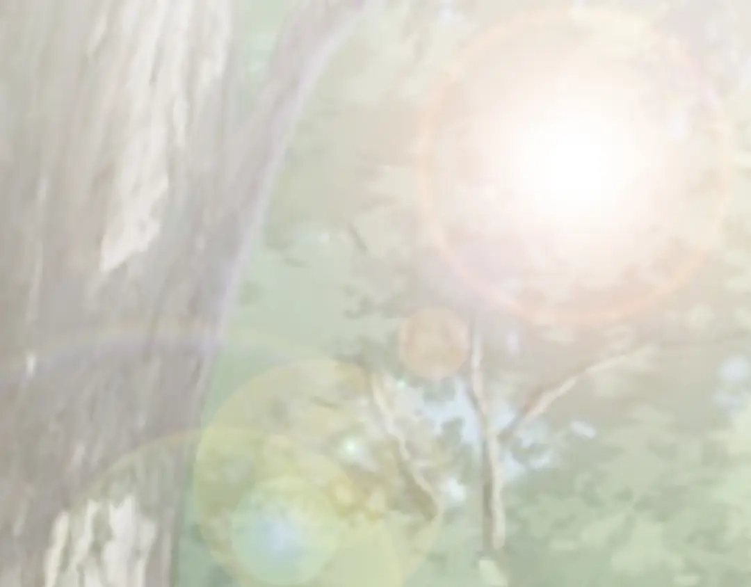 《飞行星球》第58话 你喜欢的类型 第39页