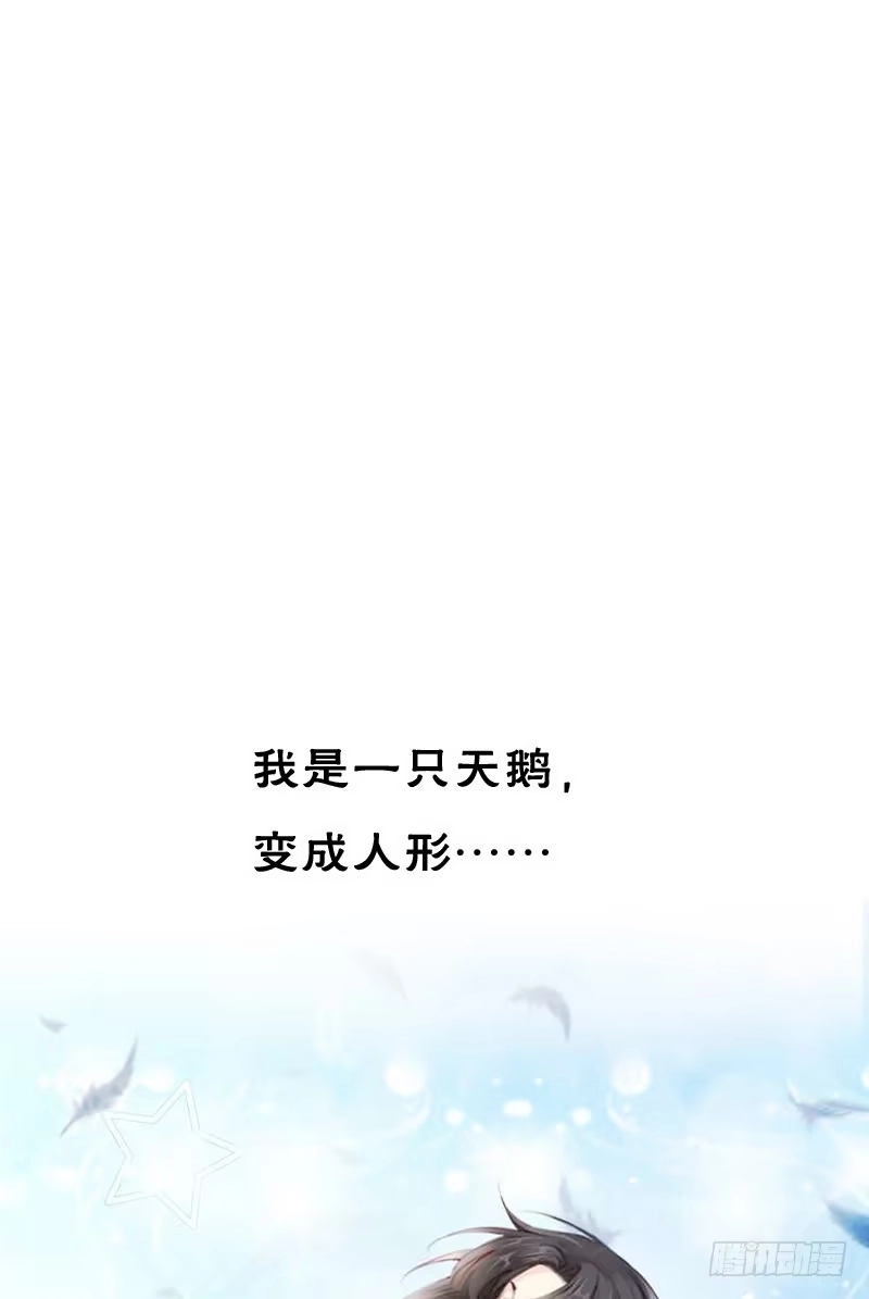 《飞越千山来爱你》预告：飞越千山命中注定 第13页