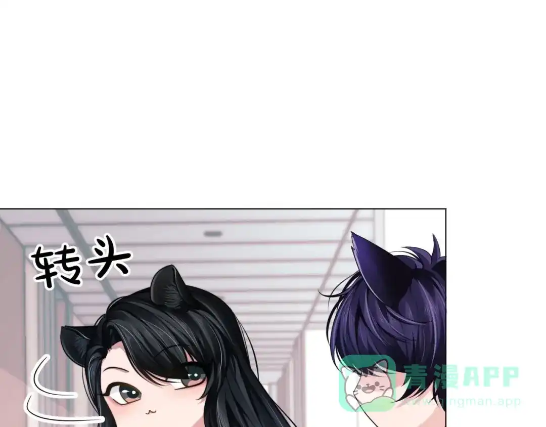 《粉黛》番外1 大家都变成动物哒！ 第16页