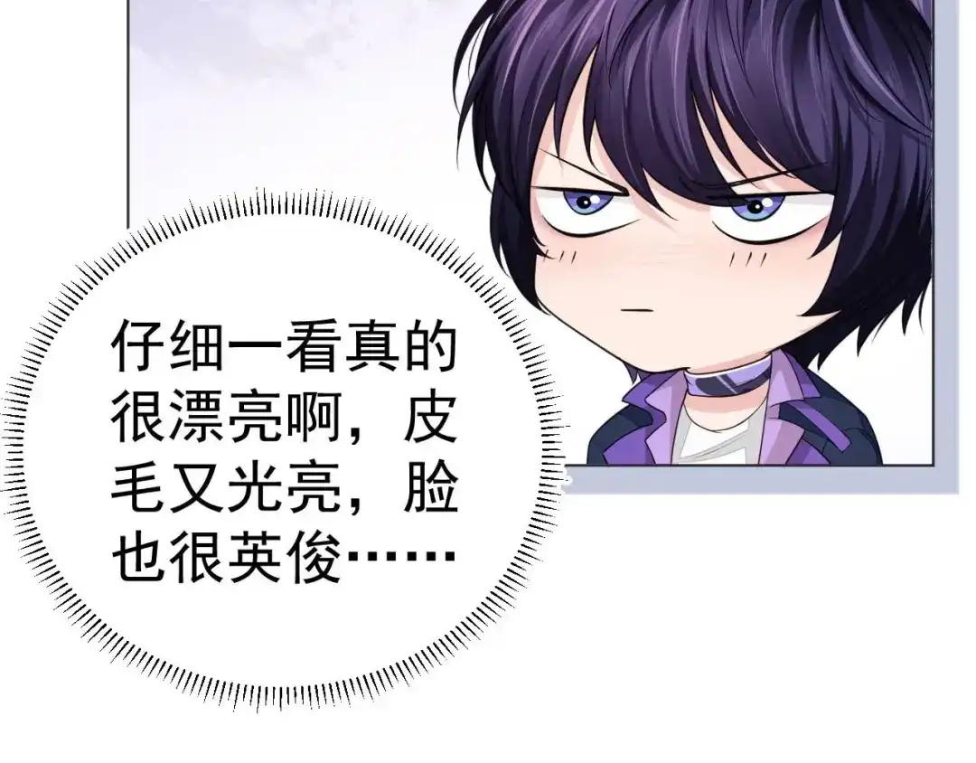 《粉黛》番外1 大家都变成动物哒！ 第15页