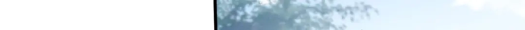 《凤归天下》11 重生灵根的方法 第72页