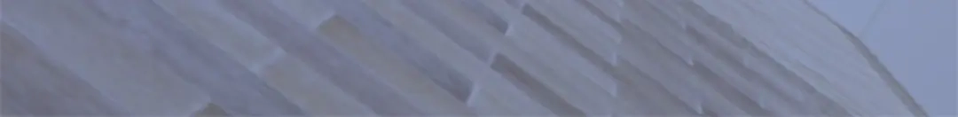 《凤归天下》17 这条龙想亲我？ 第77页