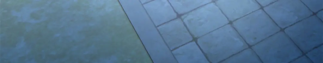 《凤归天下》02 拉出去，杖毙！ 第81页