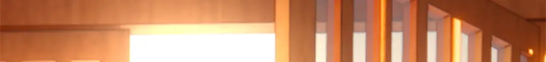 《凤归天下》06 上啊，咬他啊！ 第35页