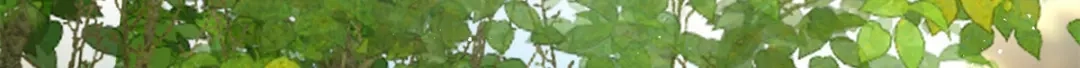《凤归天下》06 上啊，咬他啊！ 第106页