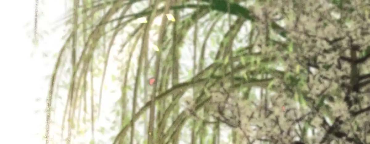 《凤还朝，妖孽王爷请让道》第十话 劲爆画面 第44页