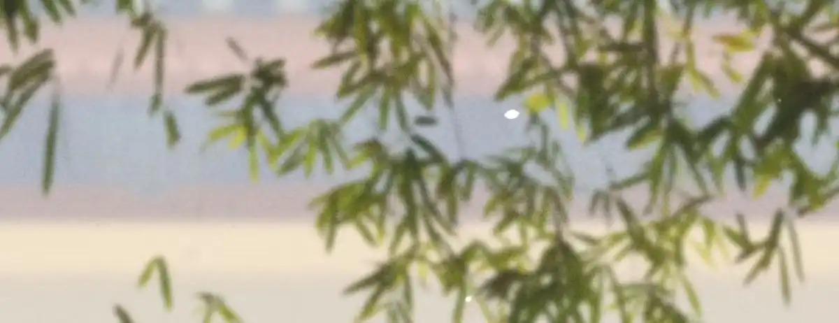 《凤还朝，妖孽王爷请让道》第二十四话 肉包子打狗 第44页