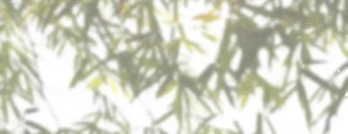 《凤还朝，妖孽王爷请让道》第二十四话 肉包子打狗 第29页