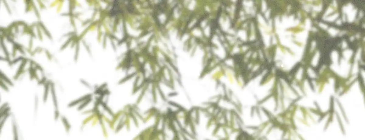 《凤还朝，妖孽王爷请让道》第二十四话 肉包子打狗 第72页