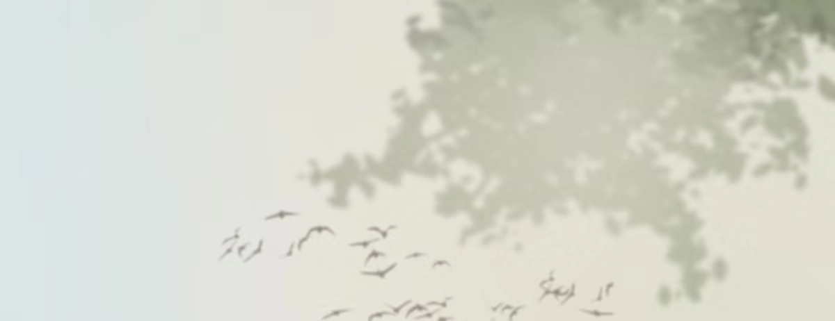 《凤还朝，妖孽王爷请让道》第二十五话 约会 第170页