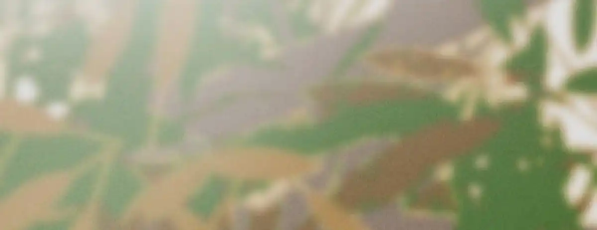 《凤还朝，妖孽王爷请让道》第二十六话 初吻 第28页
