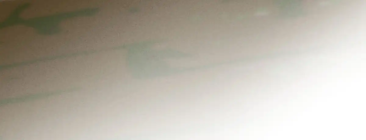 《凤还朝，妖孽王爷请让道》第三十一话 与苏若清的约会 第134页