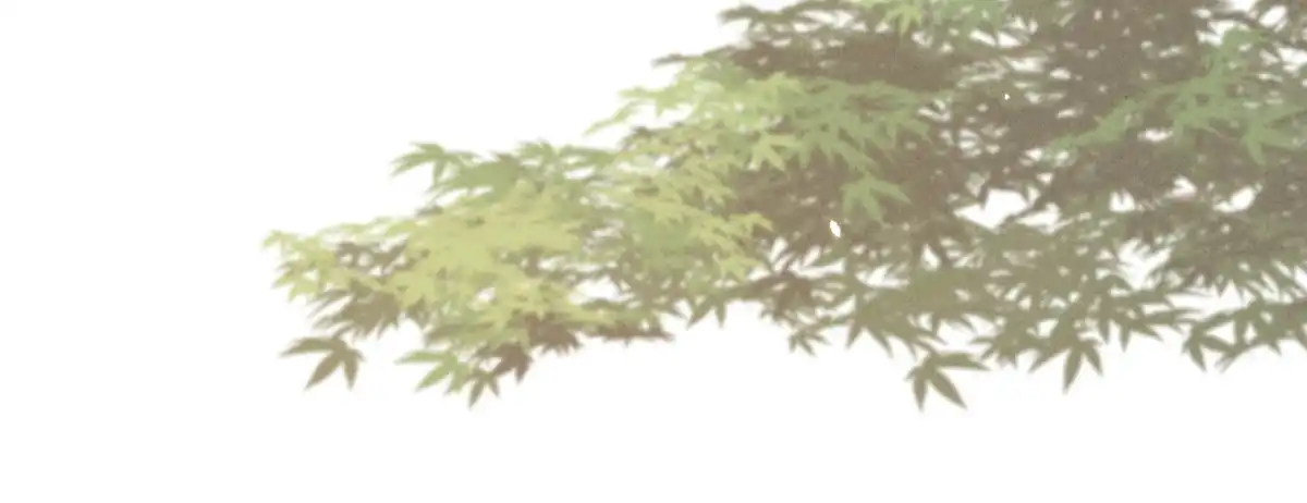 《凤还朝，妖孽王爷请让道》第三十一话 与苏若清的约会 第45页