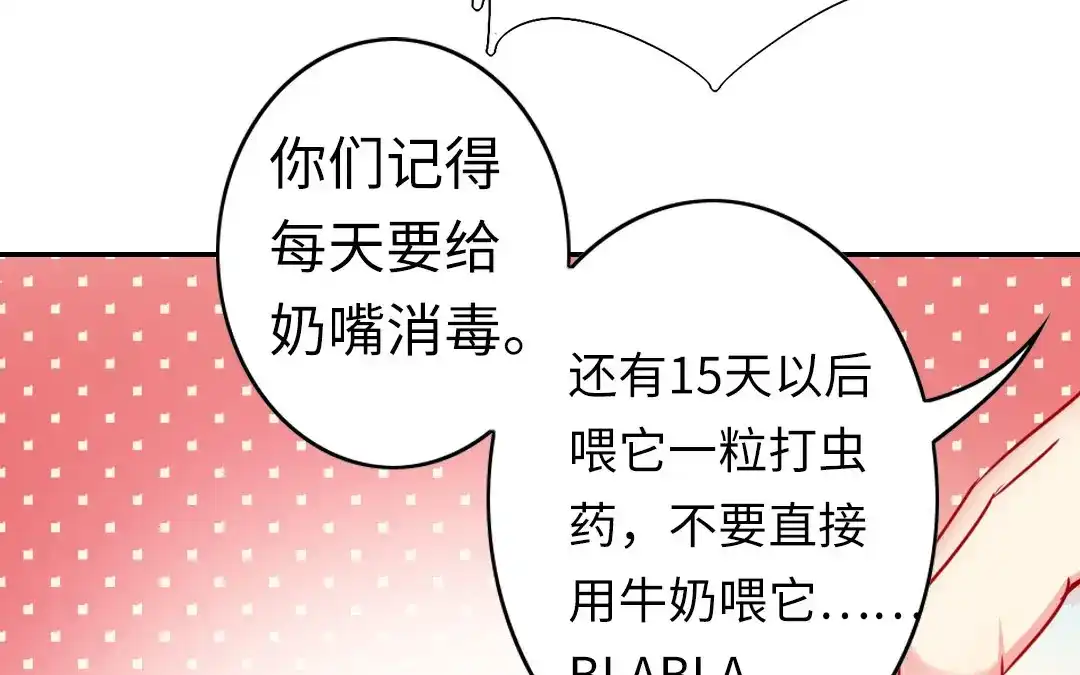 腹黑少爷小甜妻 第15话 珍惜 第12页