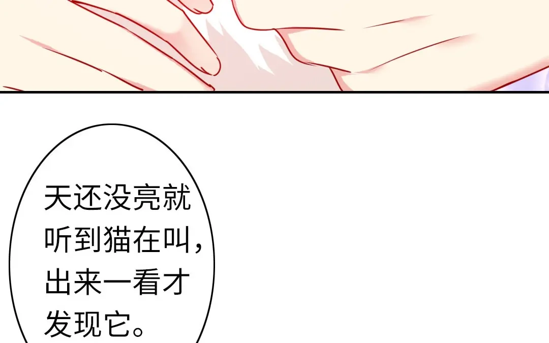 腹黑少爷小甜妻 第15话 珍惜 第8页