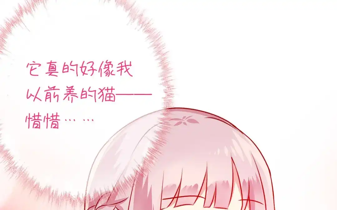 腹黑少爷小甜妻 第15话 珍惜 第14页