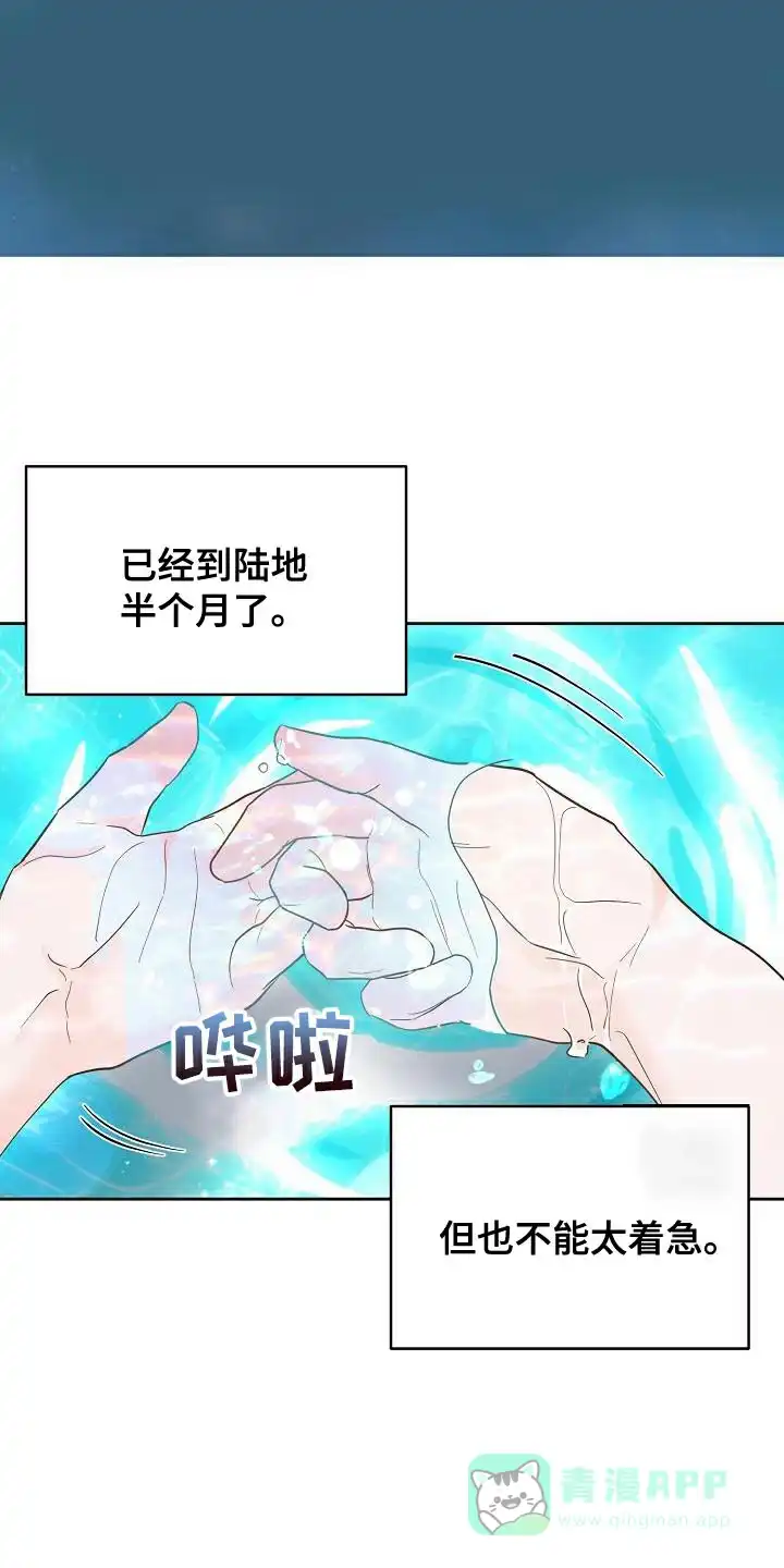 《腹黑兔子》第28话 第16页