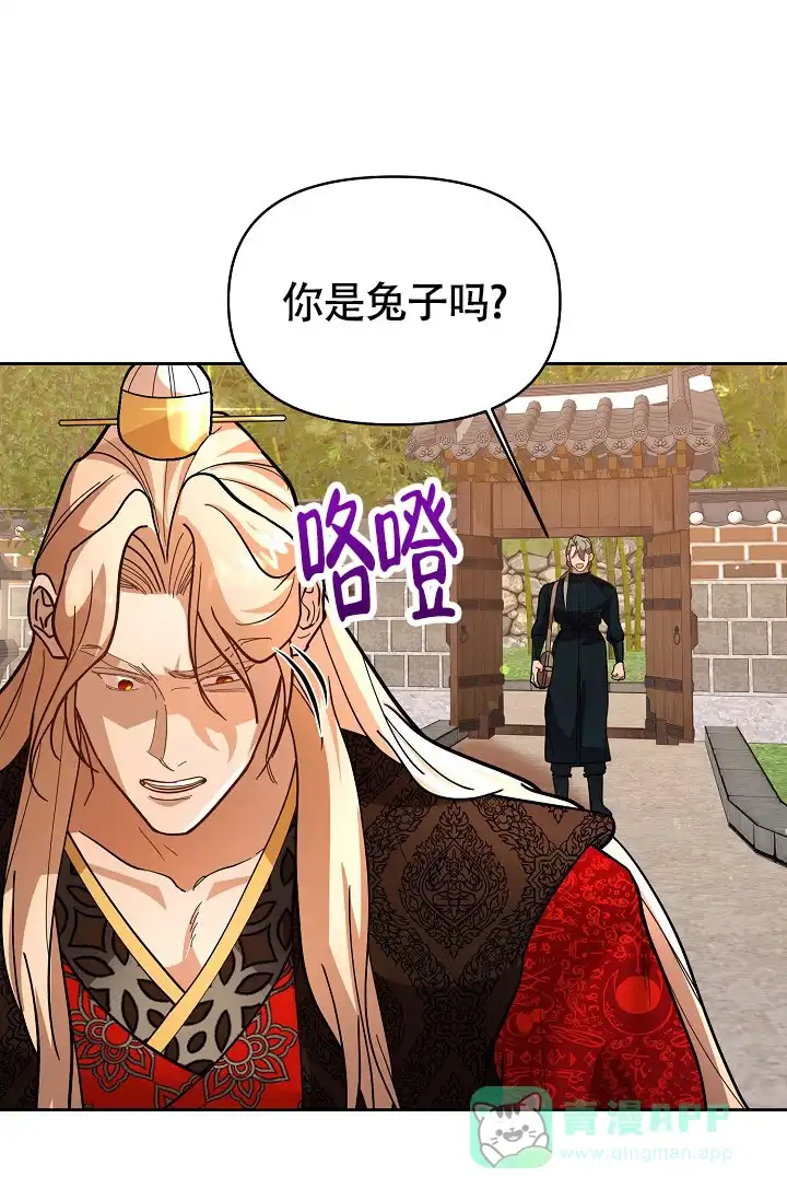 《腹黑兔子》第4话 第36页