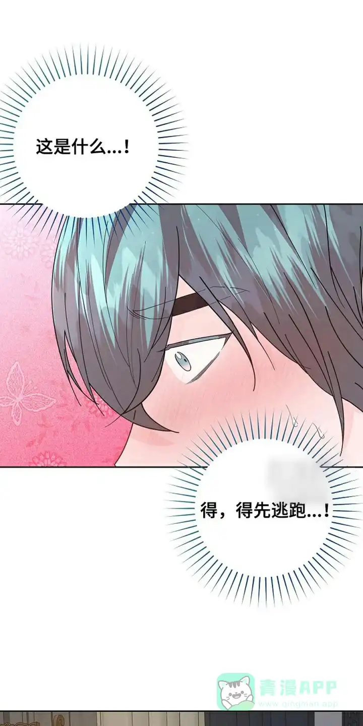 《腹黑兔子》第41话 第1页