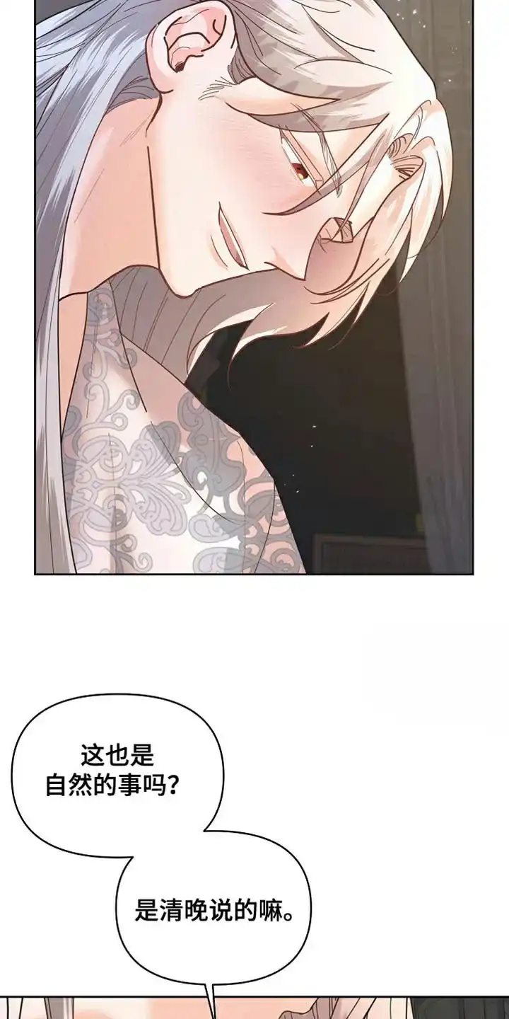 《腹黑兔子》第41话 第13页