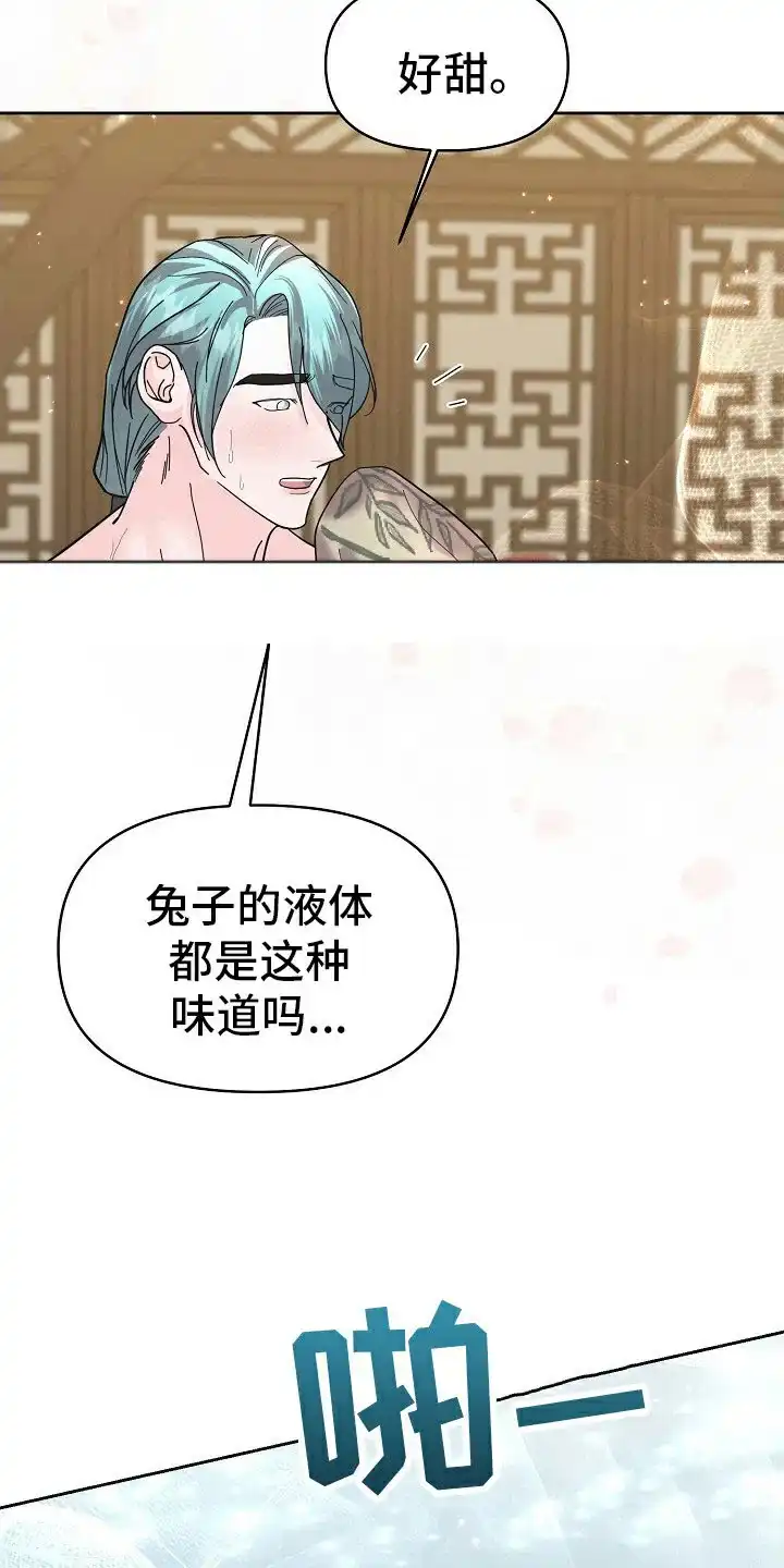 《腹黑兔子》第43话 第4页