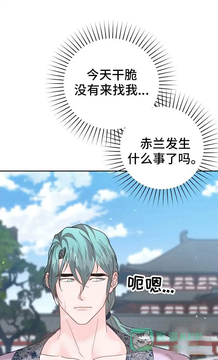 《腹黑兔子》第44话 第11页