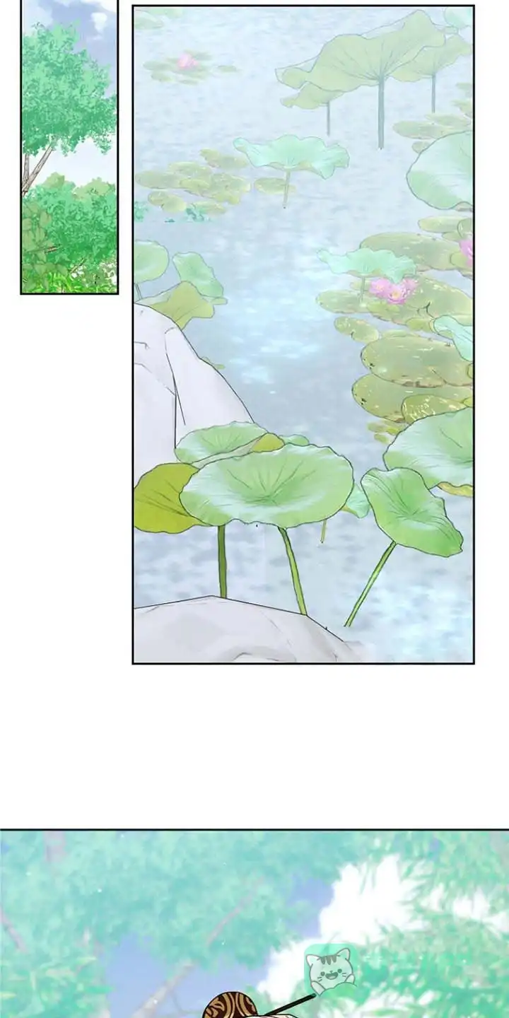 《腹黑兔子》第51话 第11页
